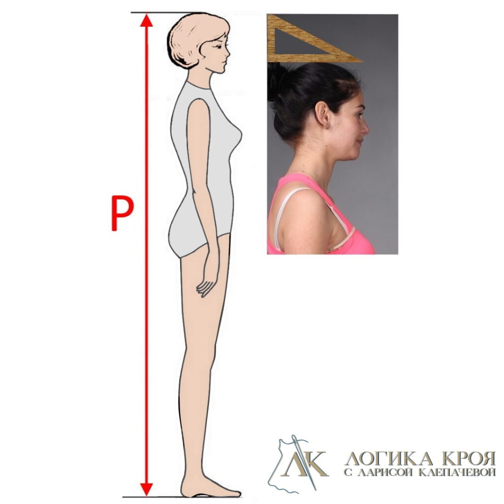 Как измерить свой рост в домашних условиях Р - рост. Как правильно измерить рост для шитья одежды - Логика кроя